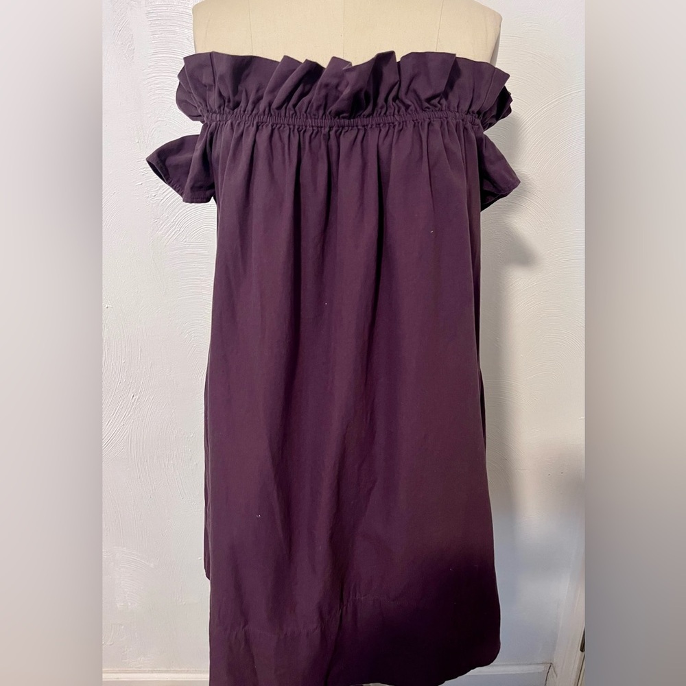 Free People ruffle dress